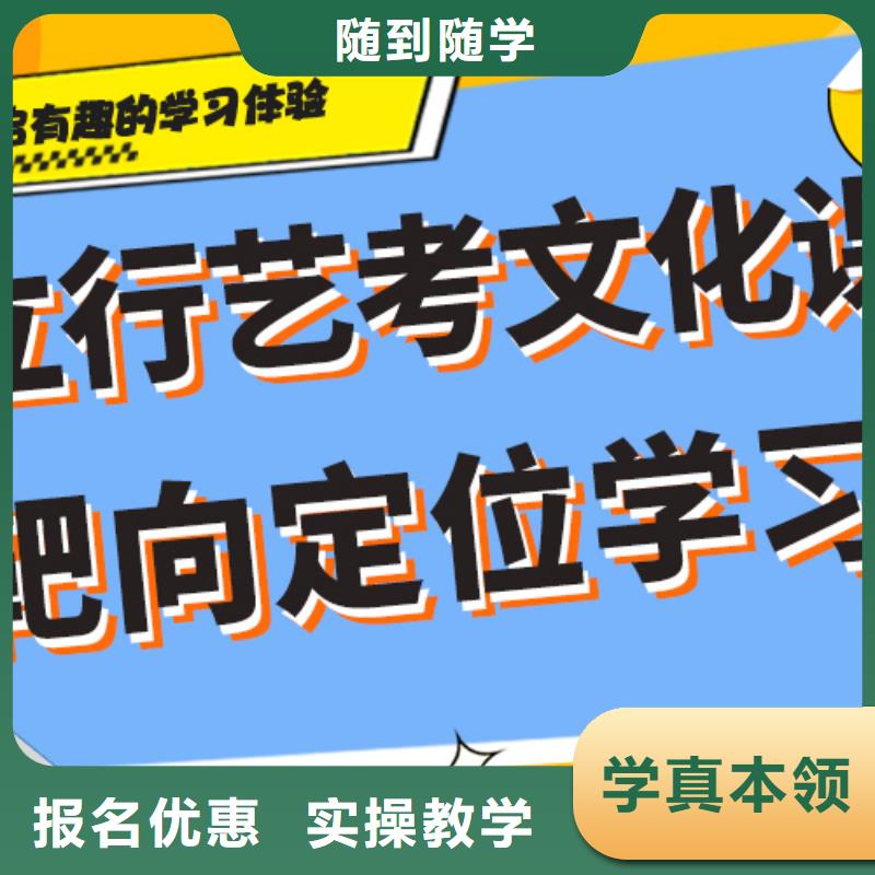 【艺考生文化课冲刺】高考语文辅导老师专业