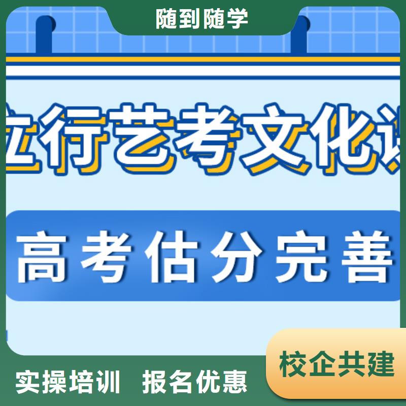 【艺考生文化课冲刺】高考语文辅导老师专业