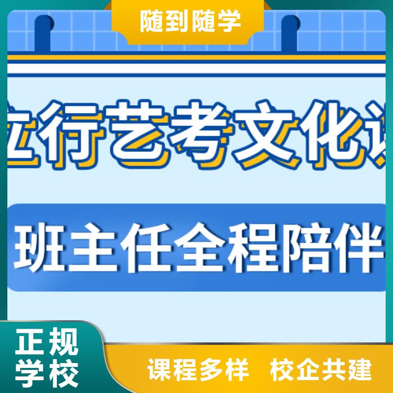 艺考生文化课冲刺【【舞蹈艺考培训】】老师专业