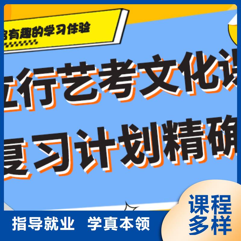 艺考文化课集训班【高考语文辅导】学真技术