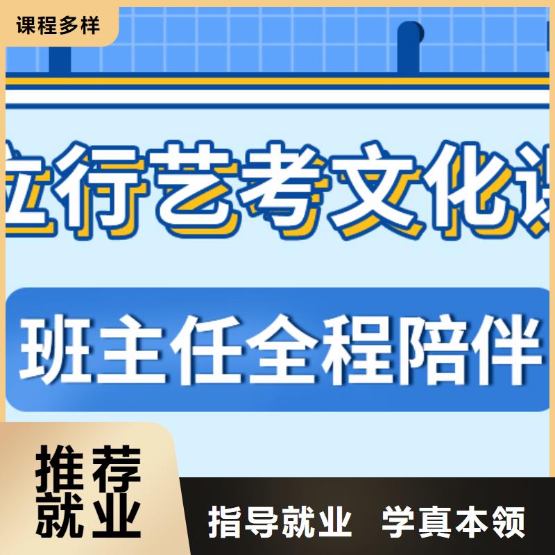 艺考生文化课培训补习有什么选择标准吗