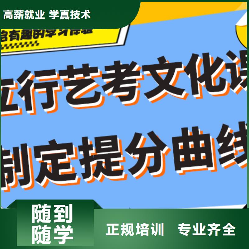 艺考文化课辅导班舞蹈艺考培训课程多样