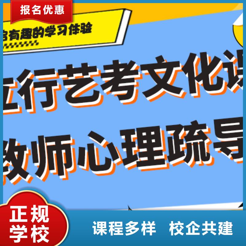 有哪些艺体生文化课培训补习精准的复习计划