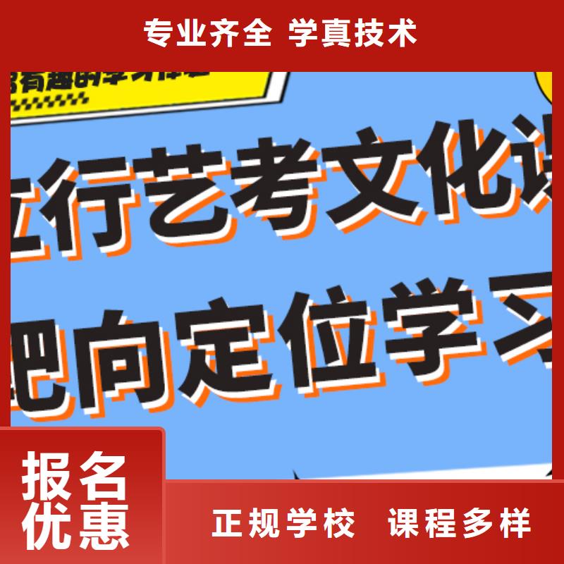 费用艺体生文化课培训补习定制专属课程