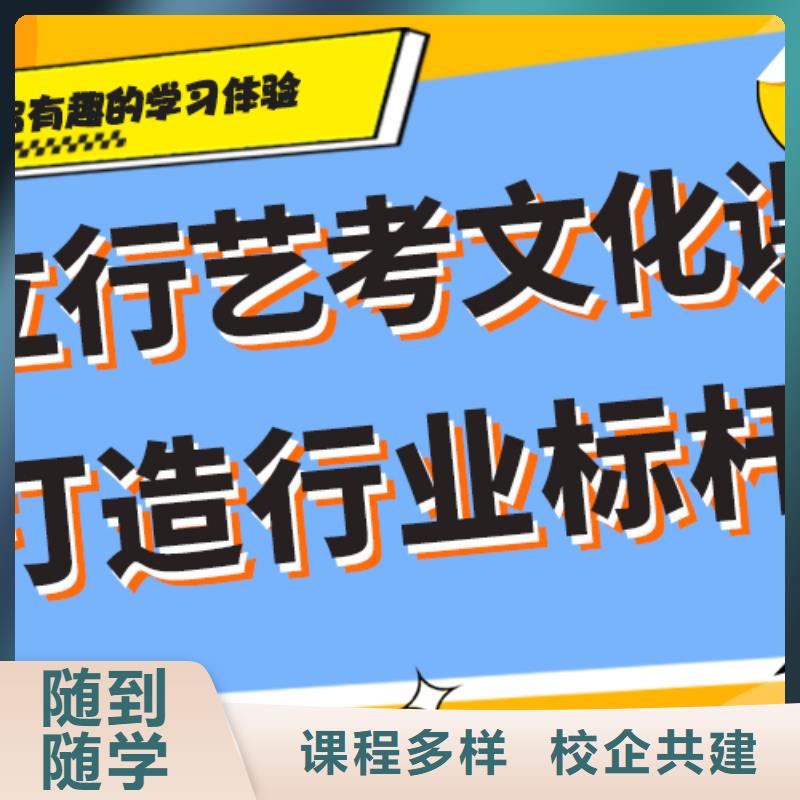 艺术生文化课培训机构学历提升学真技术