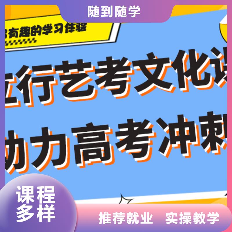 费用艺术生文化课培训补习定制专属课程