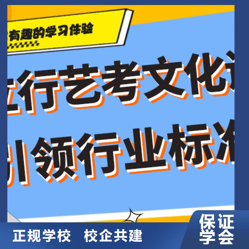 艺考生文化课辅导集训哪里好艺考生文化课专用教材