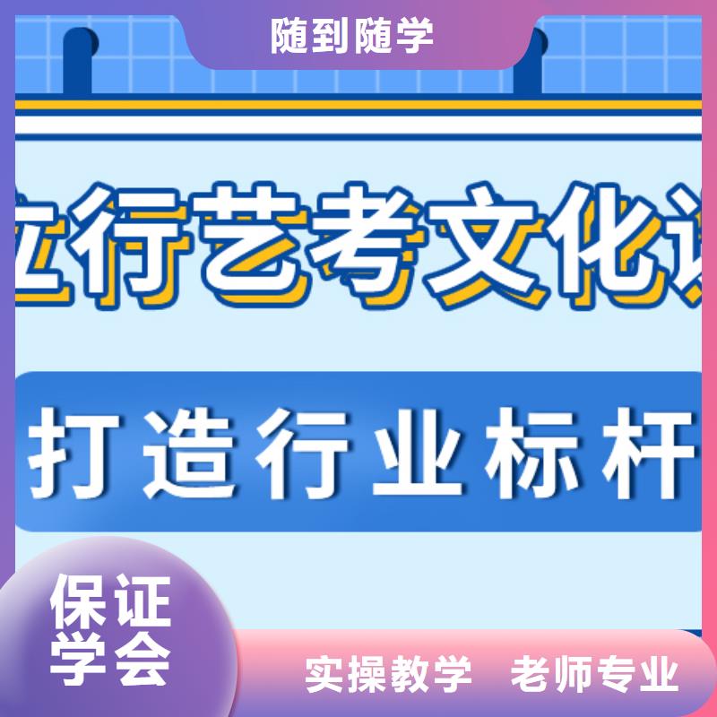 艺考生文化课辅导集训有哪些定制专属课程