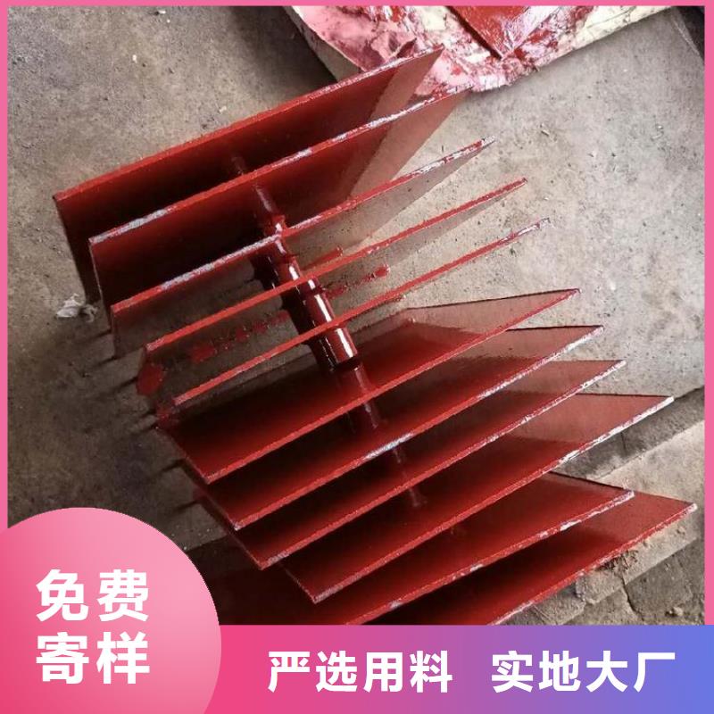 安徽省定制(鑫亿呈)沉降板生产厂家供应