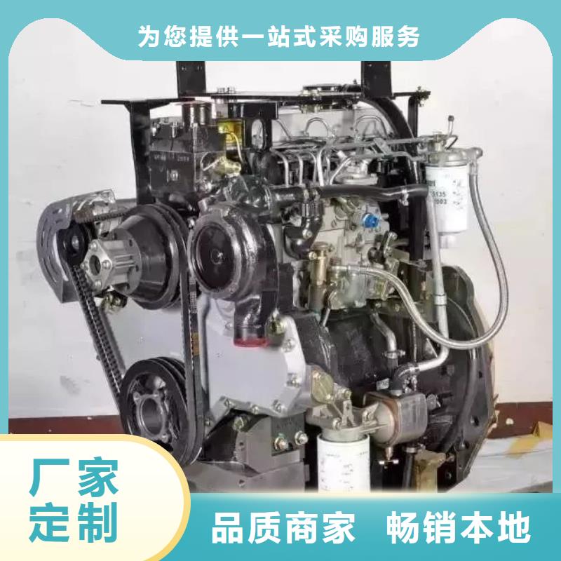 贝隆292F双缸风冷柴油机非标定制、为您精心挑选-[当地]厂家