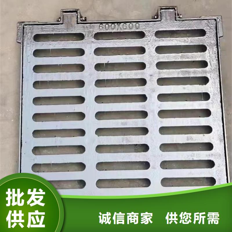 爬梯踏步球墨铸铁定做生产建通铸造厂家