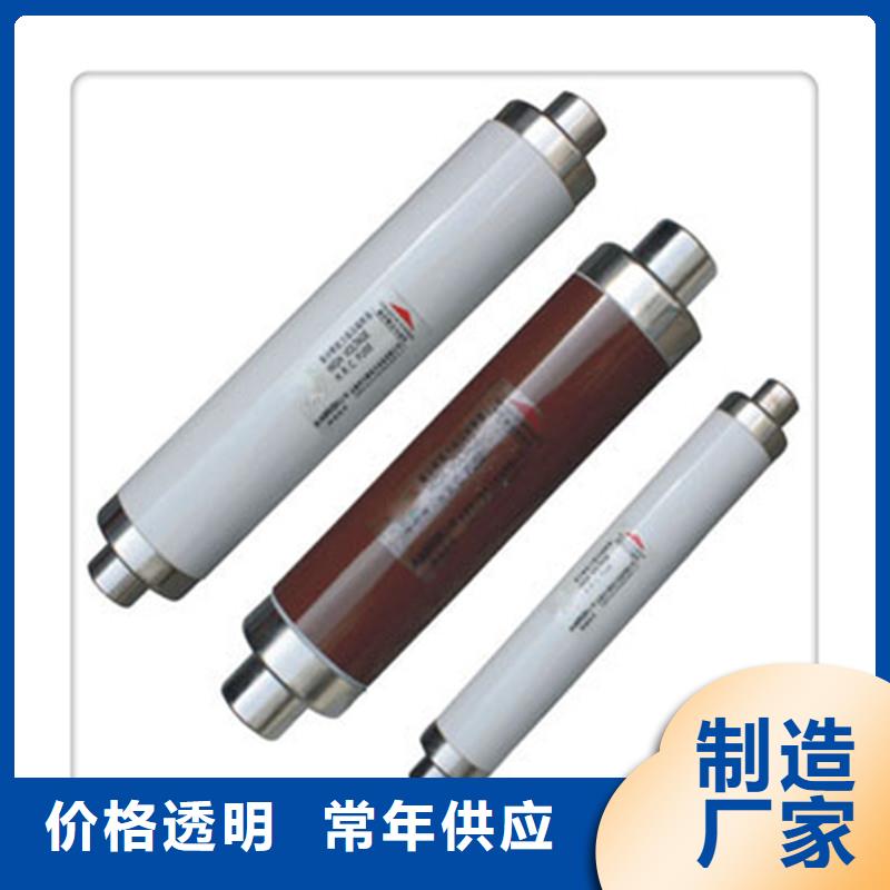 XRNP-10KV/1A限流熔断器