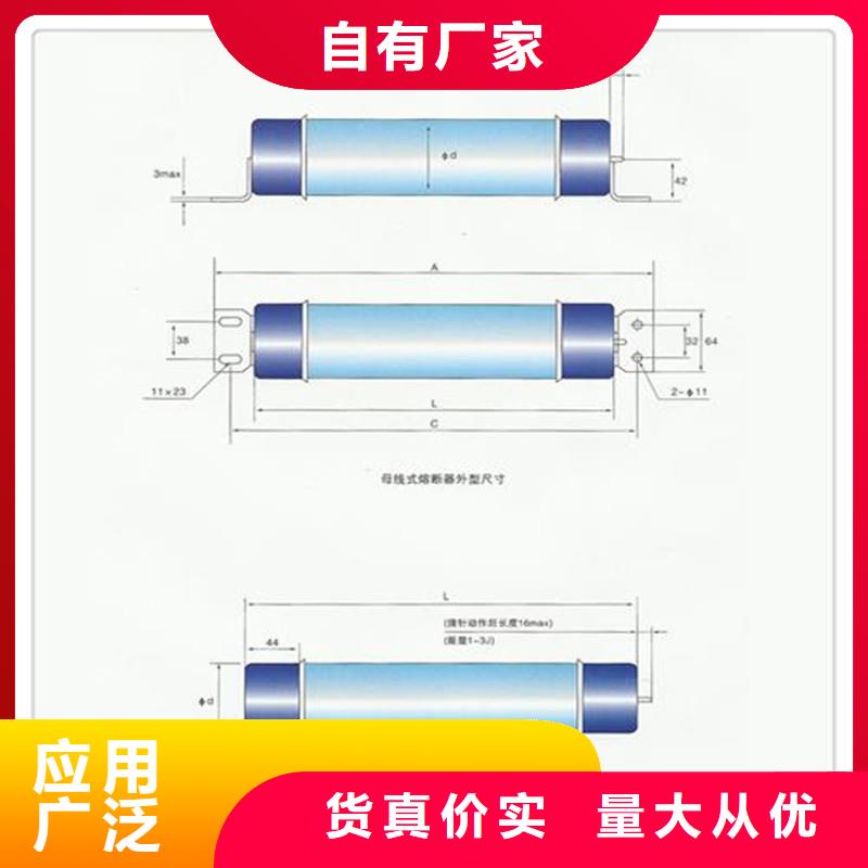 XRNT1-40.5/63A高压限流熔断器