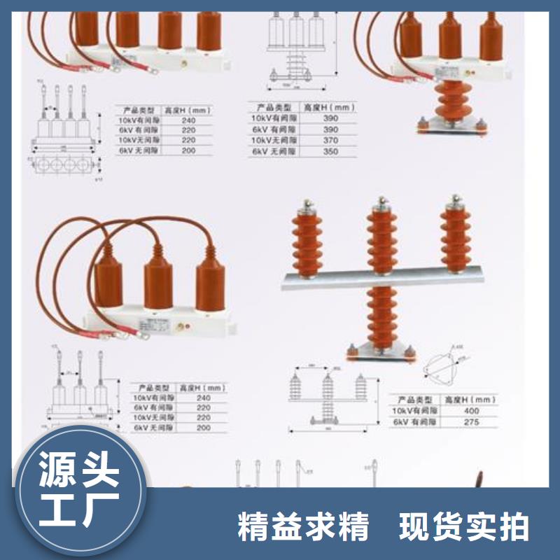 JL-110/800放电计数器特征