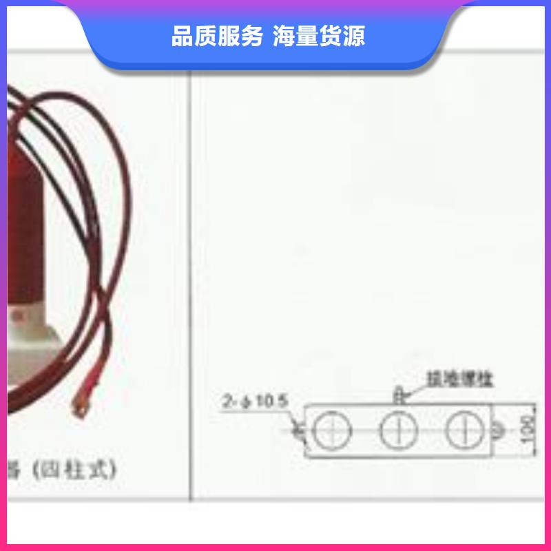 JCQ-2放电计数器图片