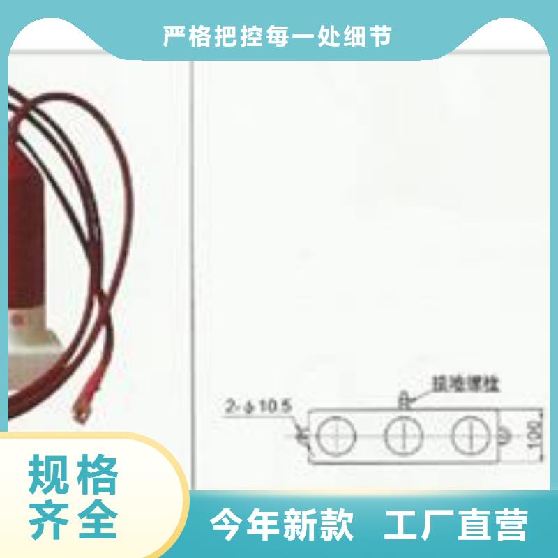 JCK-10/600避雷器放电计数器厂家