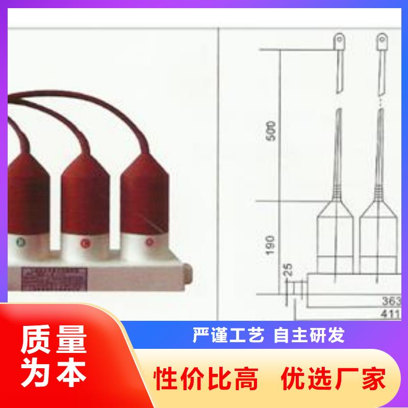 JCQ10-66放电计数器厂家