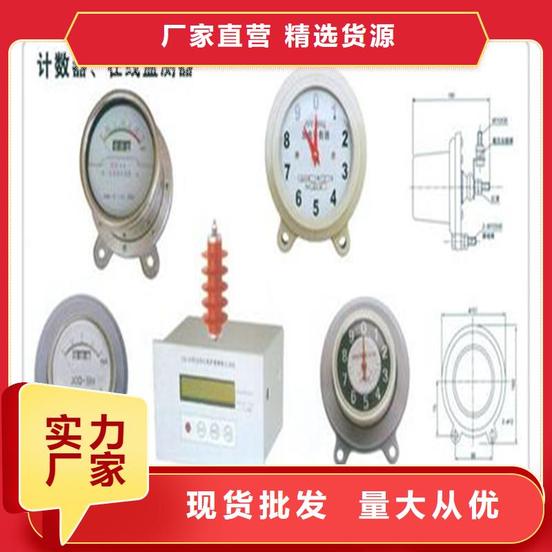 JSY-10/600放电计数器