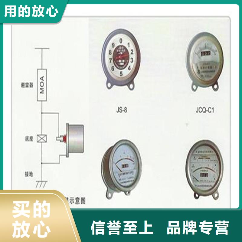 JCQ2-10/800避雷器计数器图片