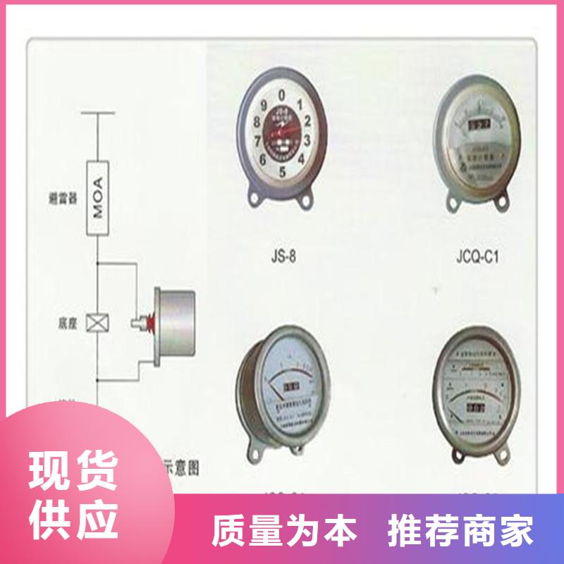 计数器氧化锌避雷器厂支持拿样