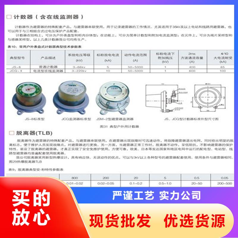 JL-110/800放电计数器特征