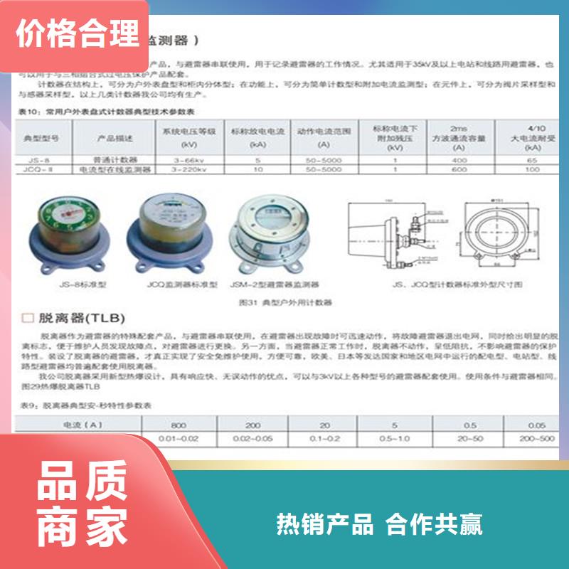 JCQ-C在线监测仪