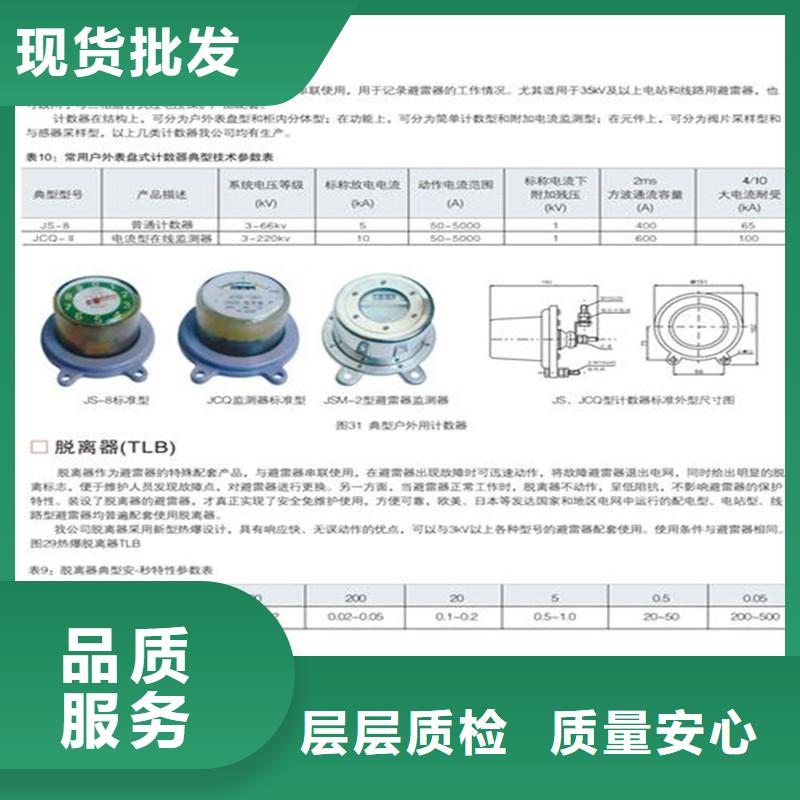 JCQ10-66放电计数器厂家