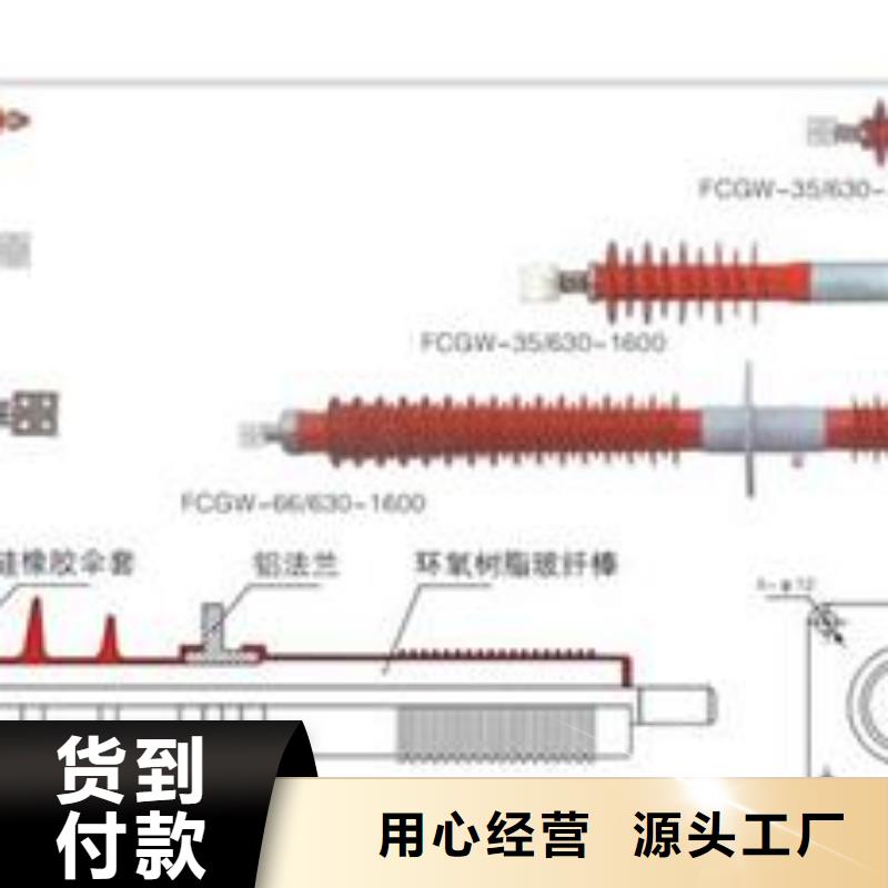 CWW-35/1000A陶瓷套管