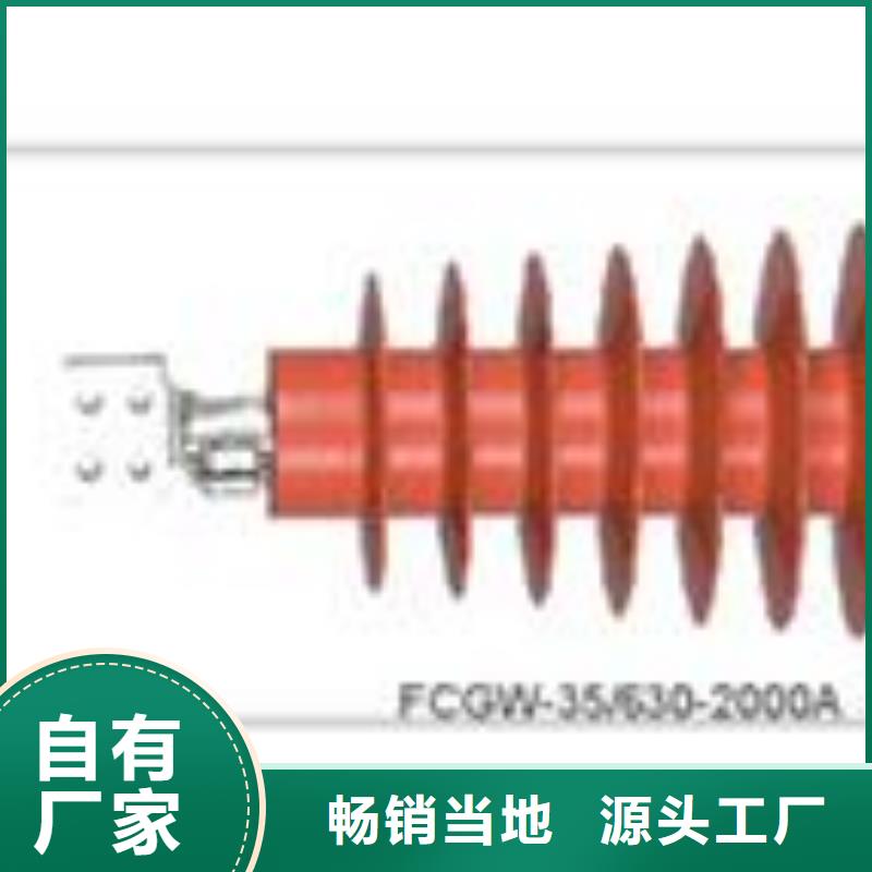 CWWC-40.5/1000陶瓷套管樊高