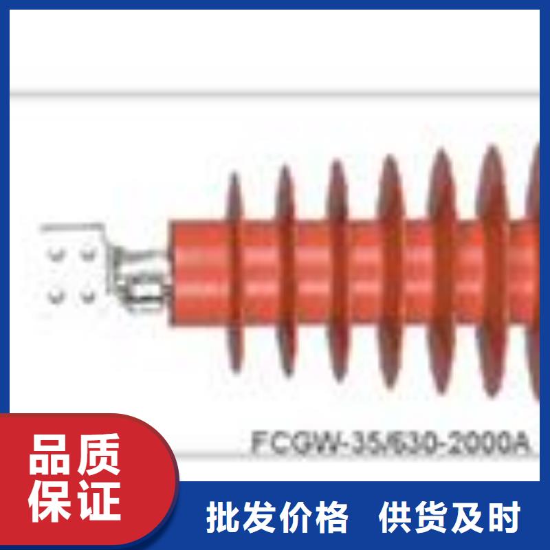 CWW-35/1000A陶瓷套管