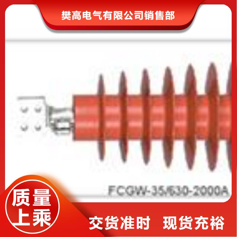 CWWB-20/1250A陶瓷套管樊高