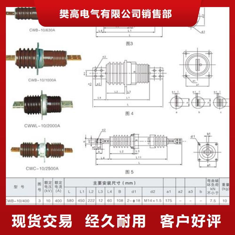 FCRG-12/1250A硅橡胶穿墙套管