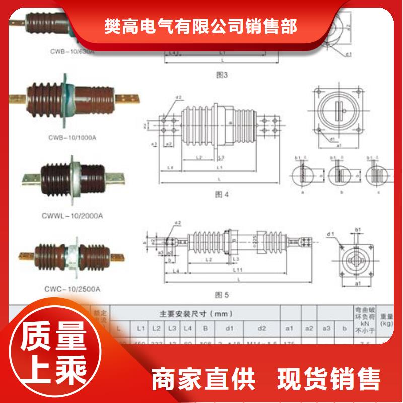 CWWC-40.5/2000A陶瓷套管樊高