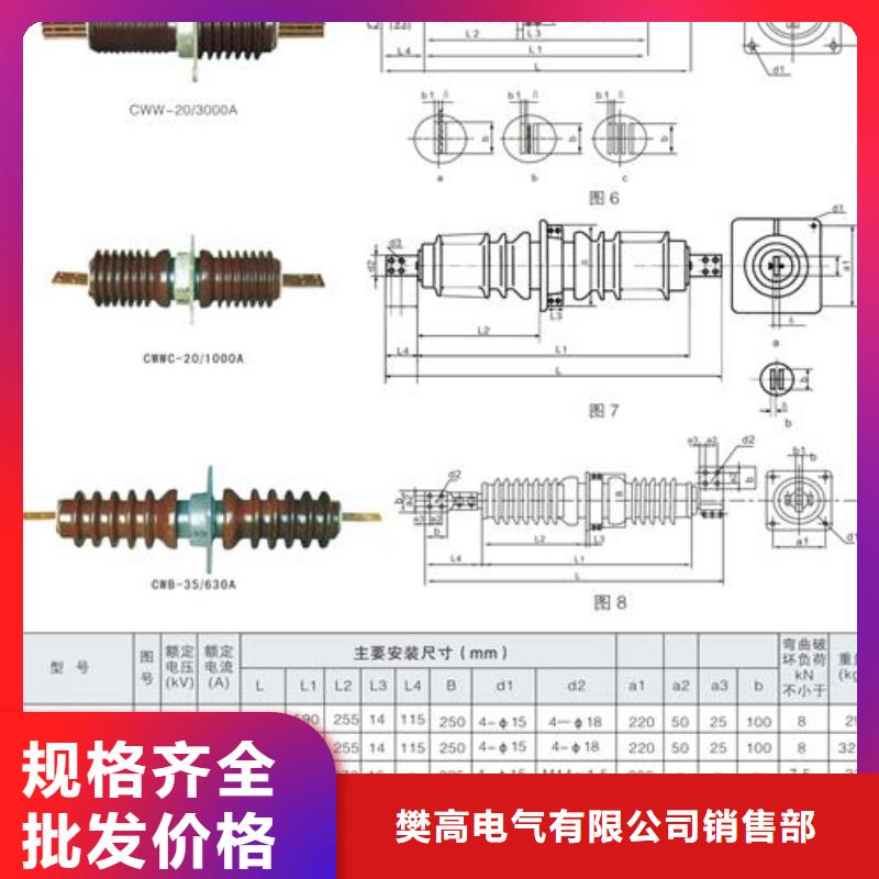 FCRG-35/2500A复合套管