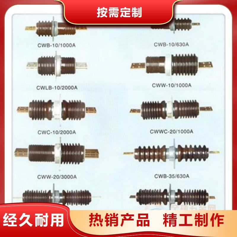 CWWL-40.5/630A-4陶瓷高压托管