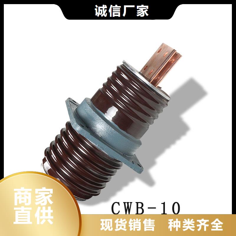 CWWB-35/2500A高压套管<六安>购买樊高