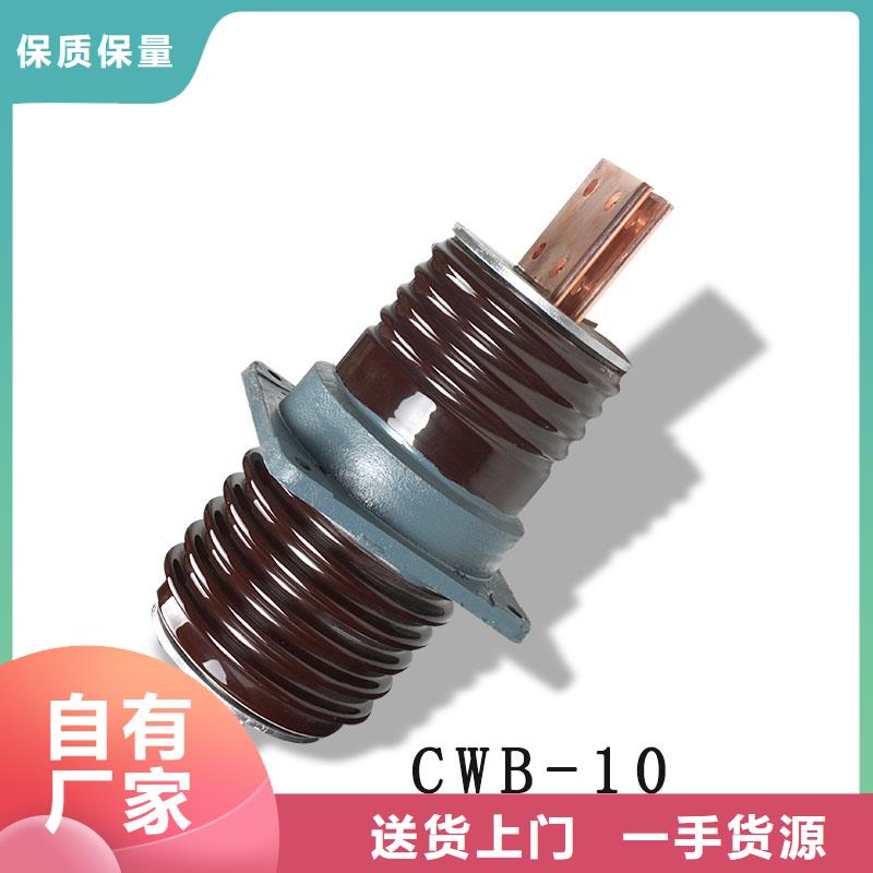 CWW-40.5/1250陶瓷套管为品质而生产樊高