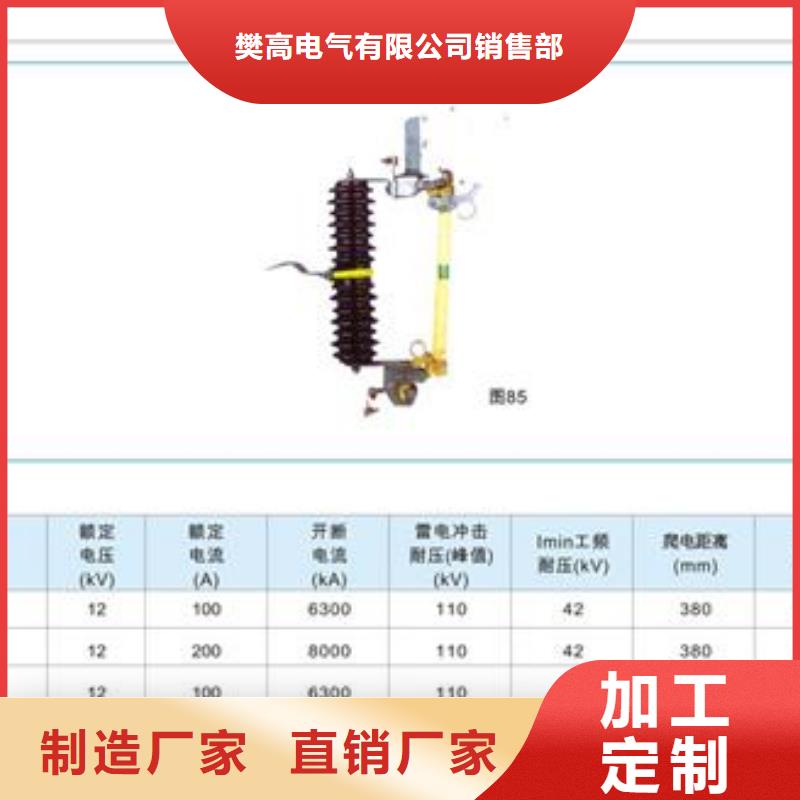 XRNT-24/125A高压熔断器