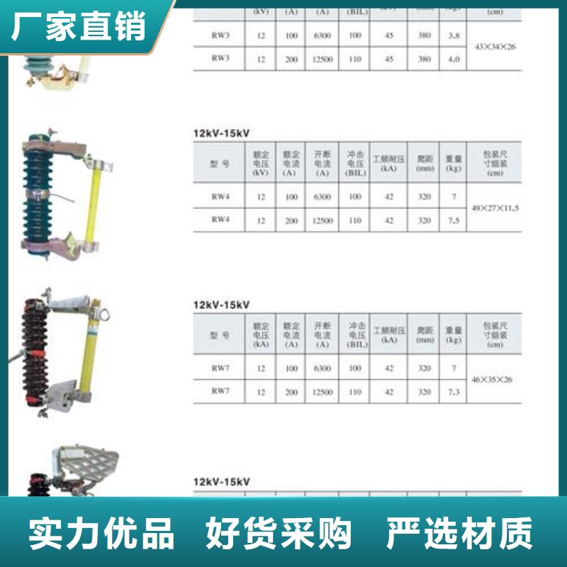 PD4-10/200A出口型跌落保险