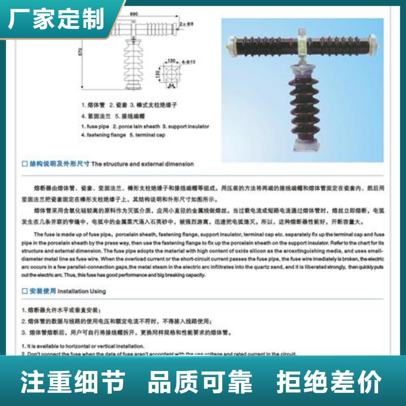 RW10-10F/100A跌落式熔断器质量