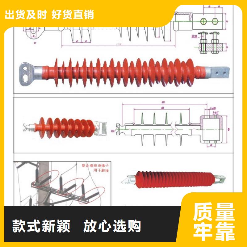 ZSW-20/800支柱绝缘子