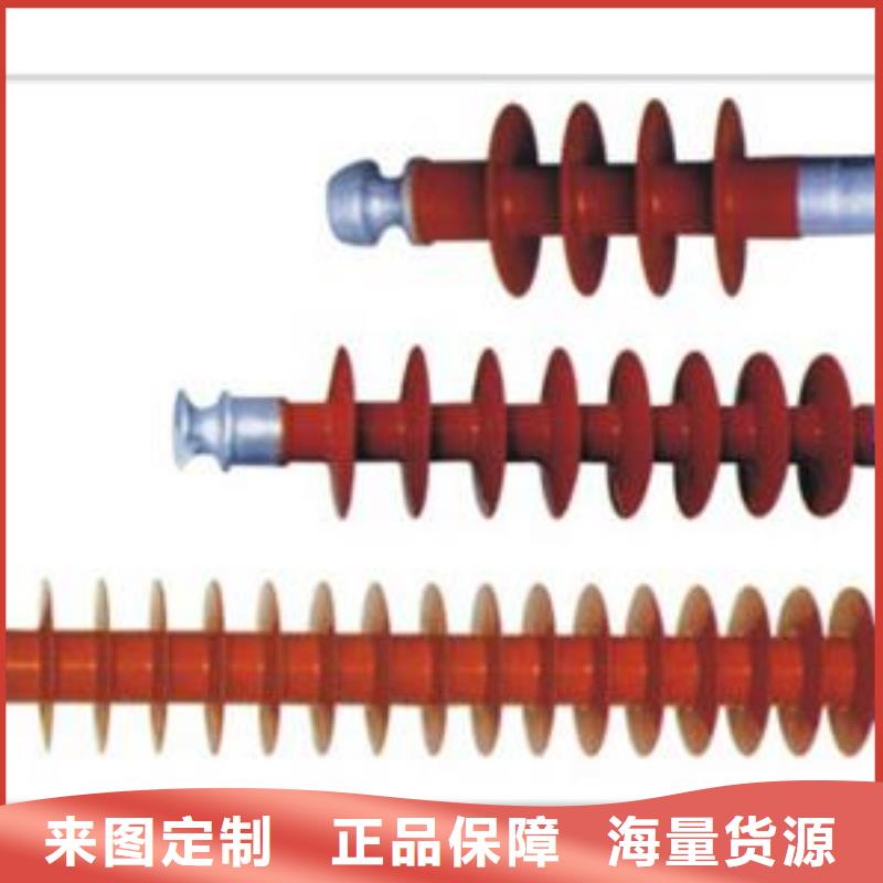 ZS-110/8.5绝缘子樊高电气