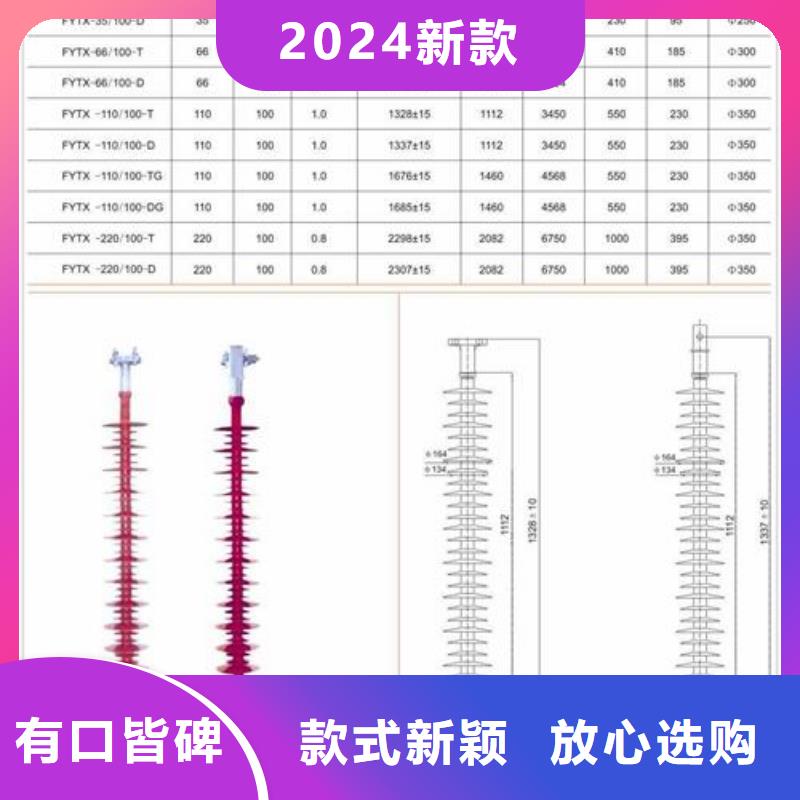 ZN-10/16绝缘子樊高电气