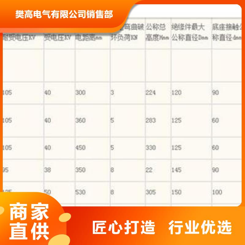 ZJ-10KV/70*130环氧树脂绝缘子