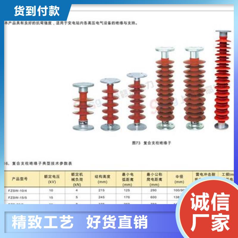 ZN-20/30高压绝缘子樊高电气