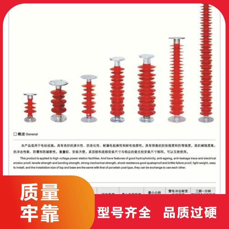 FZSW4-24/8L高压硅胶绝缘子