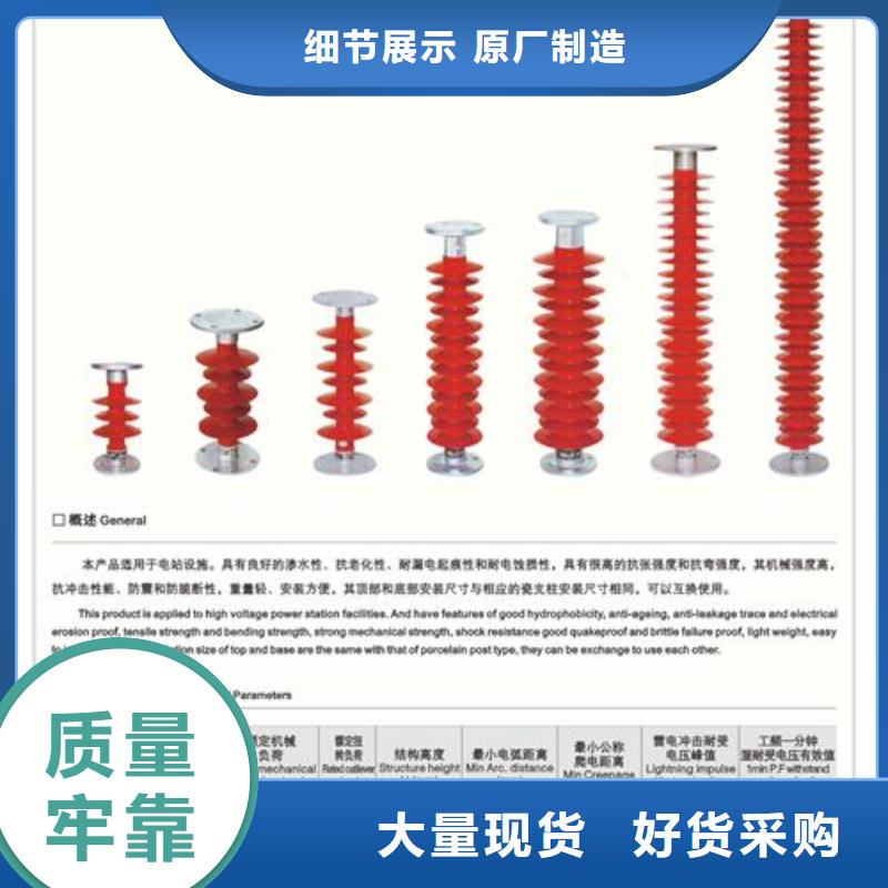 ZSW-20/16绝缘子樊高电气