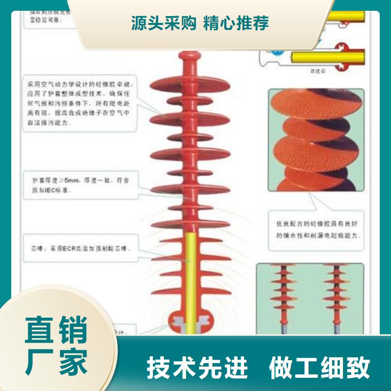 FZS-24/8L高压硅胶绝缘子