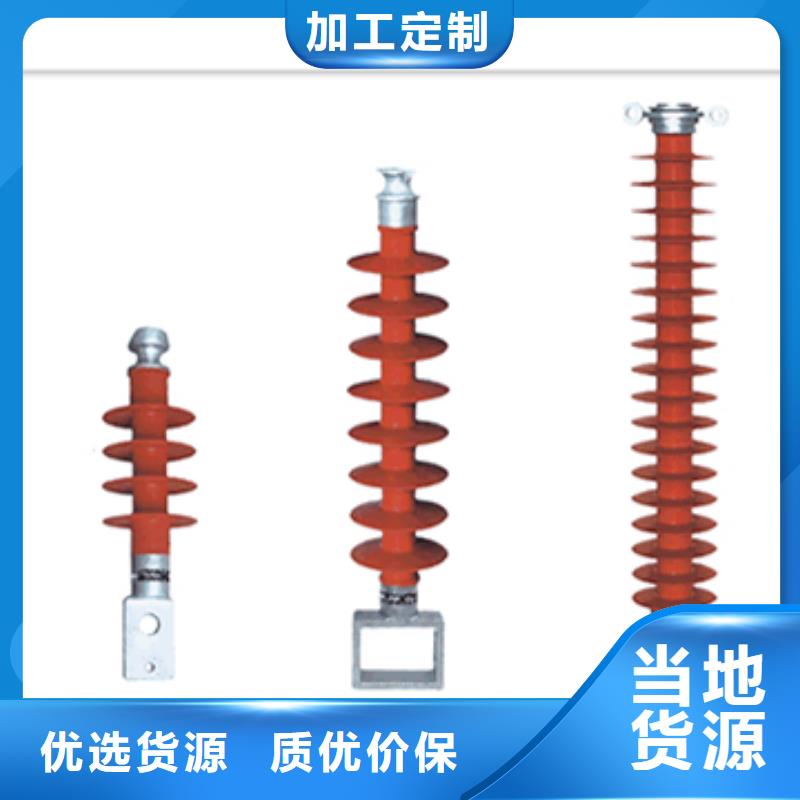 ZSW2-20/10户外高压绝缘子