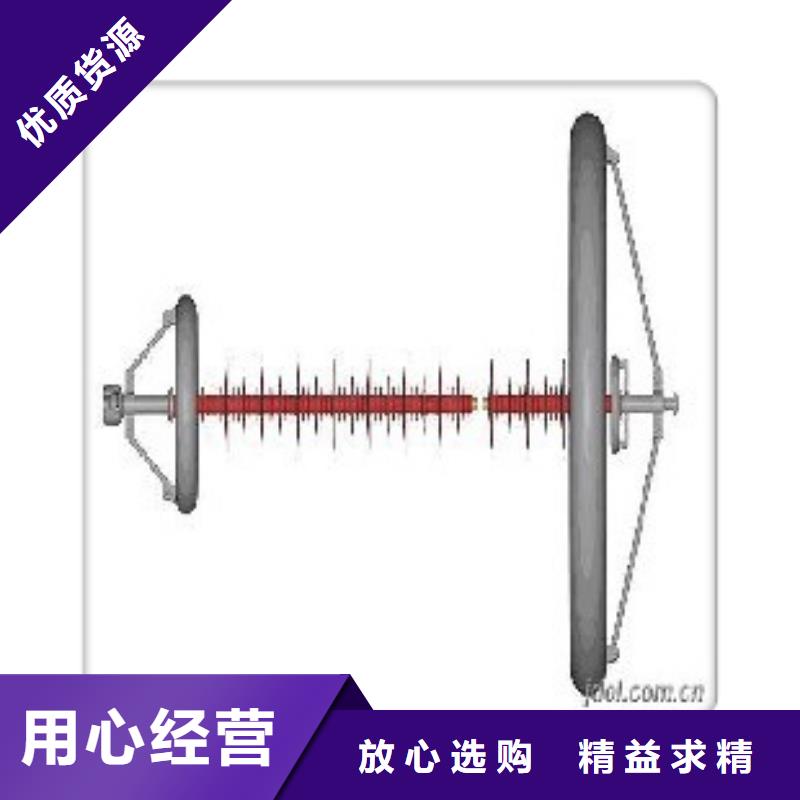 FZSW4-35/6复合绝缘子樊高